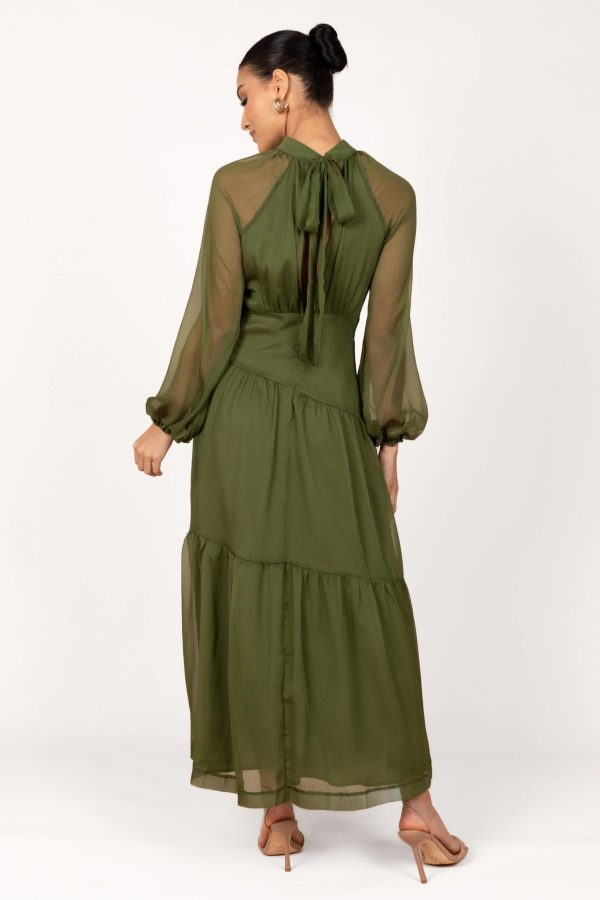 Women's Julip Sheer Long Sleeve Maxi Dress