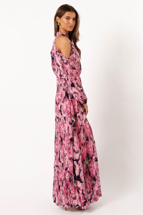 Women's Hilary Pleated Maxi Dress